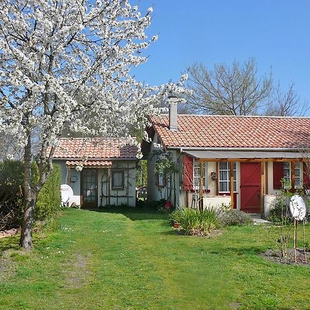 Guesthouse La Burle Parentis-en-Born Bilik gambar